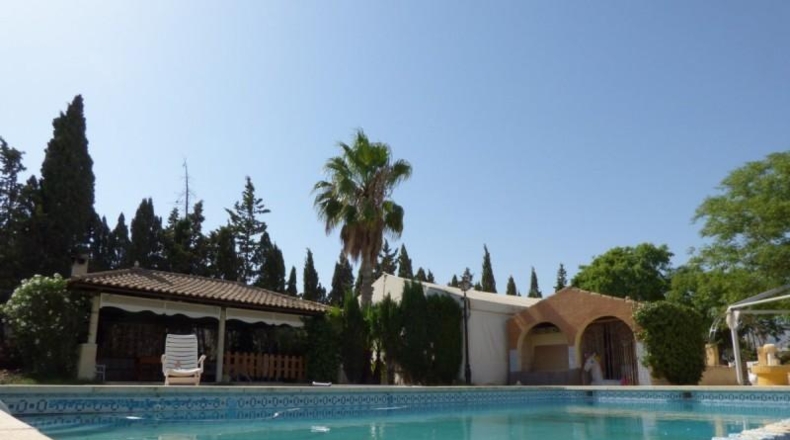 Alicante - Crevillente - 14000m2