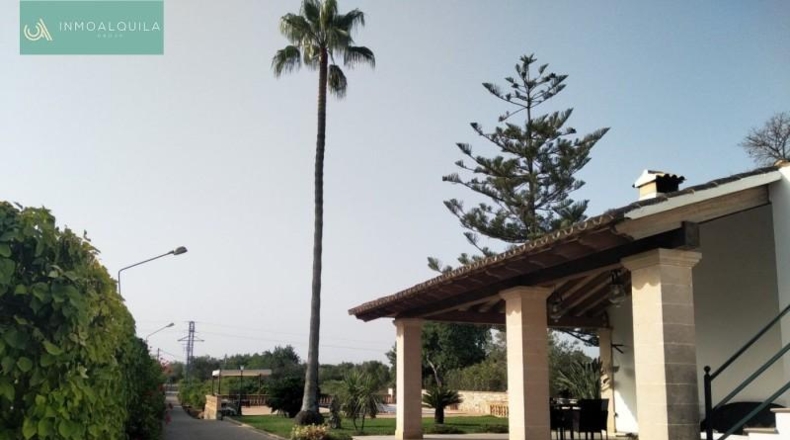 Islas Baleares - Sencelles - 15000m2