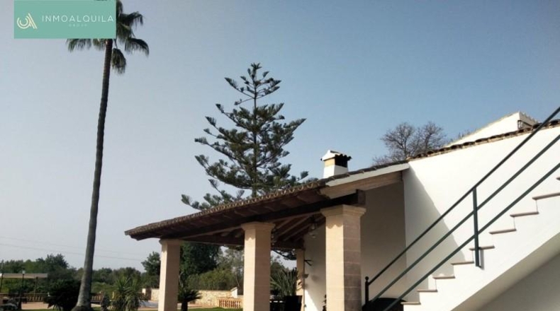 Islas Baleares - Sencelles - 15000m2