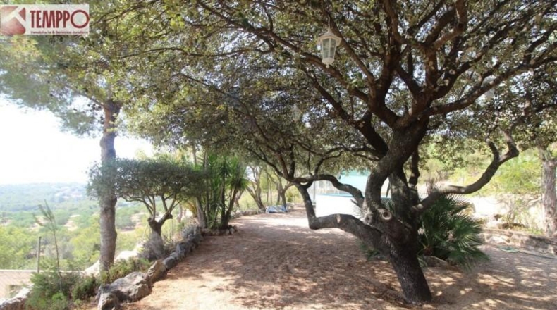 Tarragona - el Vendrell - 1186m2
