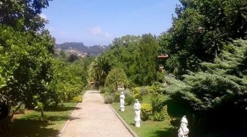 Asturias - Gijón - 12000m2
