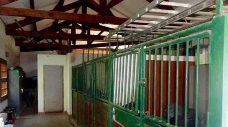 Asturias - Gijón - 12000m2