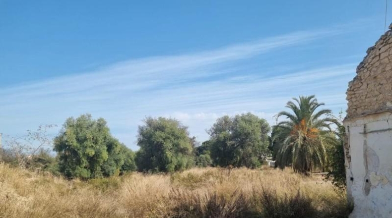 Alicante - San Juan de Alicante - 10000m2