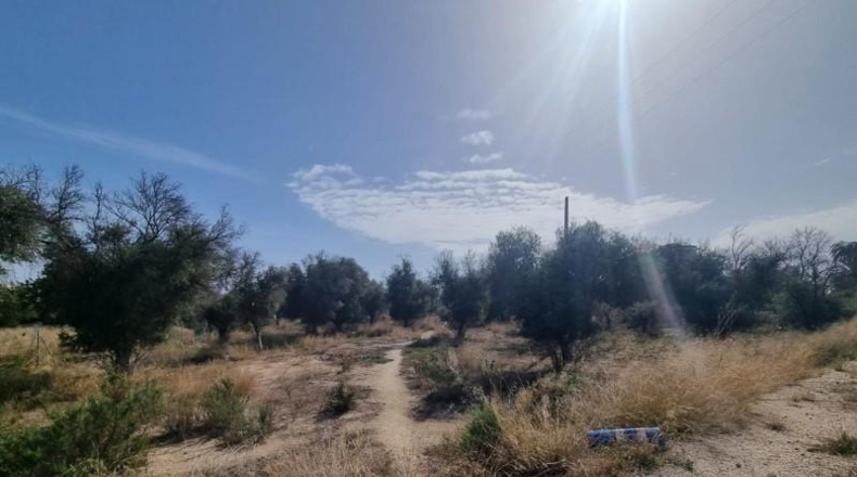 Alicante - San Juan de Alicante - 10000m2