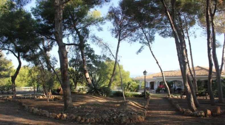 Alicante - Benidorm - 9000m2