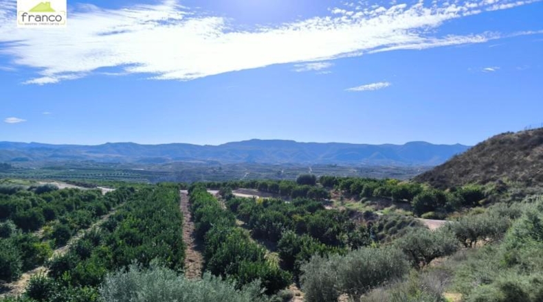 Múrcia - Murcia - 175000m2