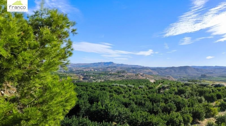 Múrcia - Murcia - 175000m2