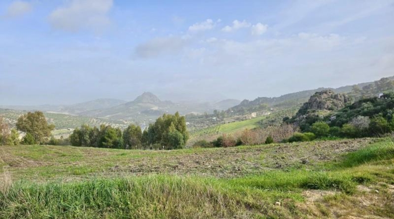 Cádiz - Olvera - 100000m2