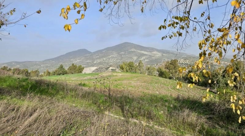 Cádiz - Olvera - 100000m2