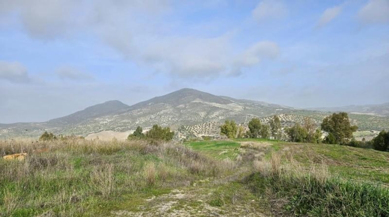 Cádiz - Olvera - 100000m2