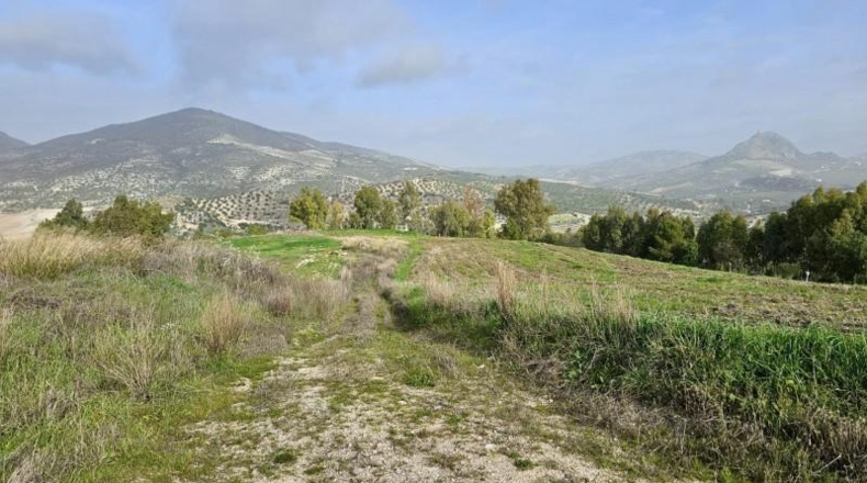 Cádiz - Olvera - 100000m2