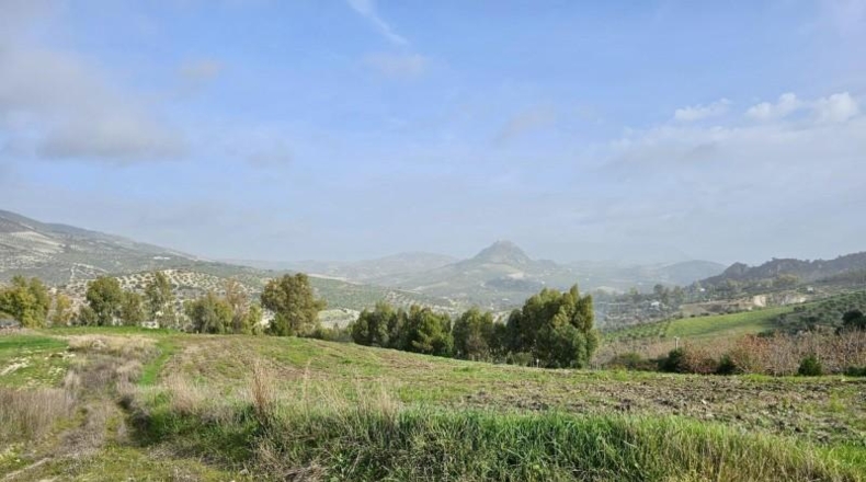 Cádiz - Olvera - 100000m2