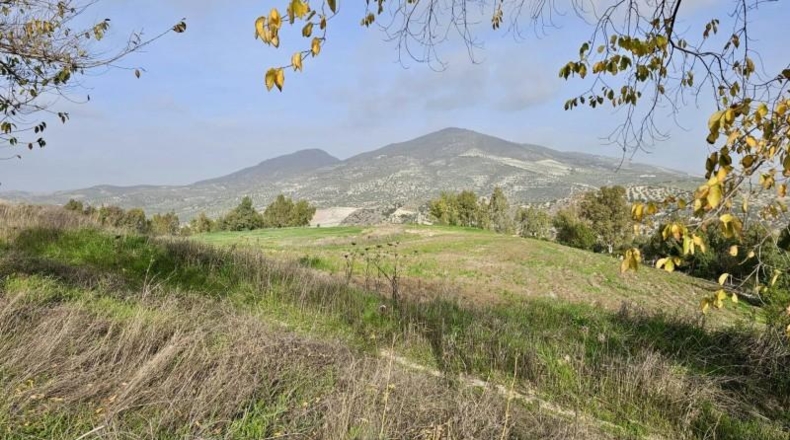 Cádiz - Olvera - 100000m2