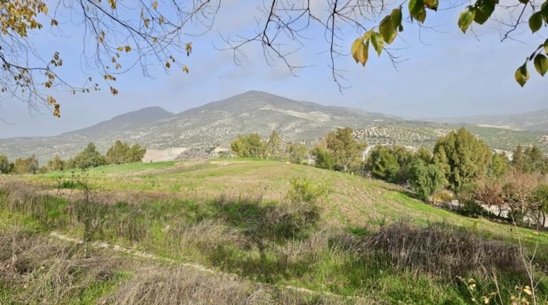 Cádiz - Olvera - 100000m2