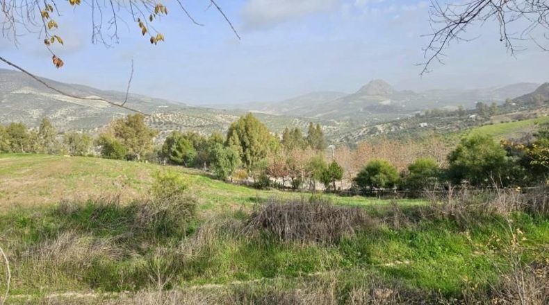 Cádiz - Olvera - 100000m2