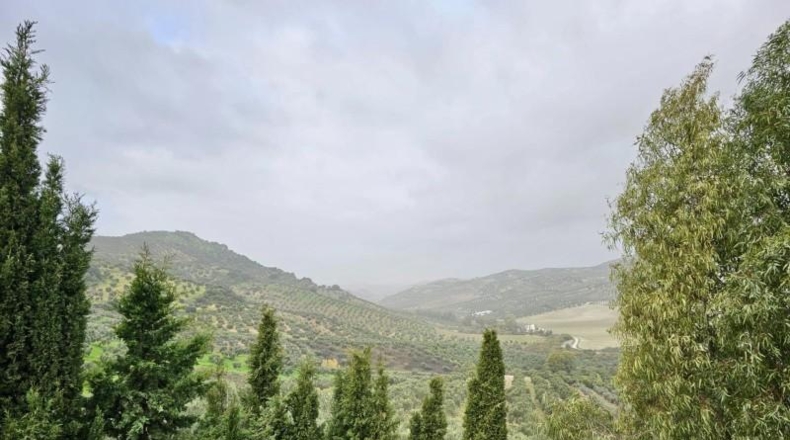 Cádiz - Olvera - 100000m2