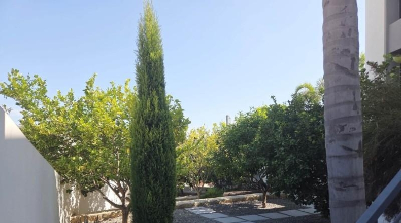 Alicante - Benisa - 580m2