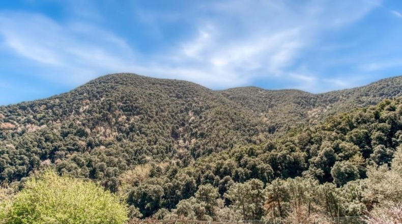 Barcelona - Tordera - 519695m2