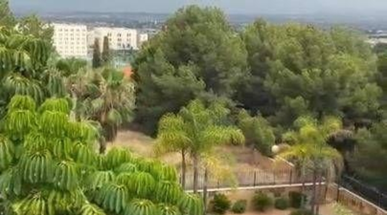 Santa Cruz de Tenerife - Buenavista del Norte - 1184m2