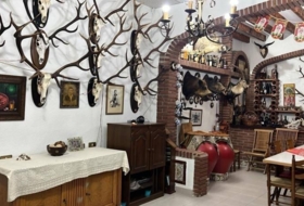 Foto 15