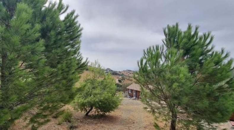 Malaga - Casares - 12000m2