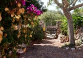Casa de campo con terreno en venta en la España, Es Castell, ref: TR328592 foto