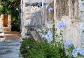 Casa de campo con terreno en venta en la España, Es Castell, ref: TR328592 foto
