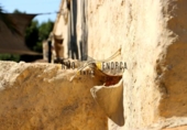 Casa de campo con terreno en venta en la España, Es Castell, ref: TR328592 foto