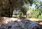 Casa de campo con terreno en venta en la España, Es Castell, ref: TR328592 foto