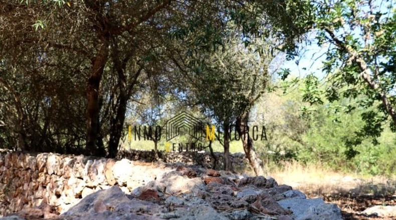 Illes Balears - Mahón - 2396m2
