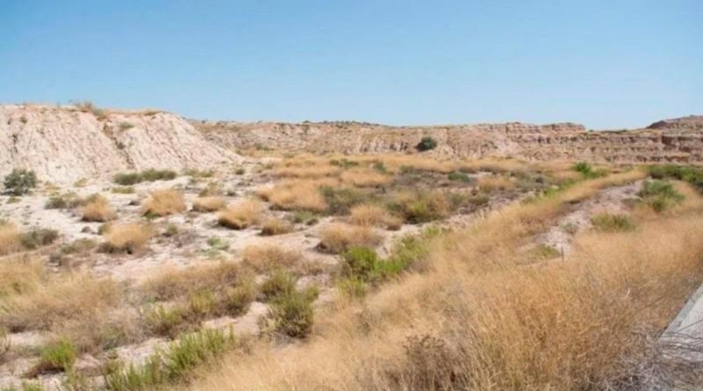 Murcia - Murcia - 32492m2
