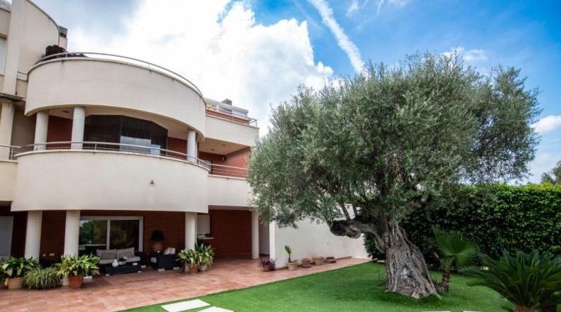 Murcia - Molina de Segura - 1800m2