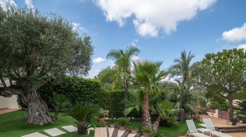 Murcia - Molina de Segura - 1800m2
