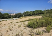 Urban land for sale on España, Sant Genís de Palafolls, ref: TR345676 photo