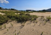 Urban land for sale on España, Sant Genís de Palafolls, ref: TR345676 photo