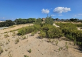 Urban land for sale on España, Sant Genís de Palafolls, ref: TR345676 photo