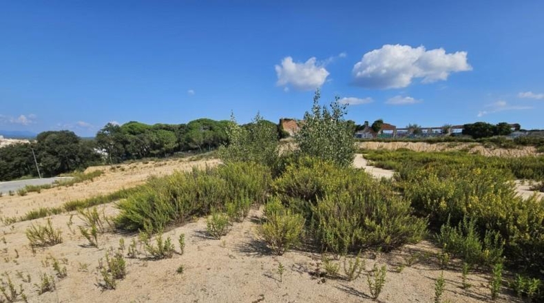 Barcelona - Palafolls - 7769m2