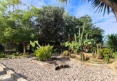 Chalet independiente con terreno en venta en la España, Inca, ref: TR365907 foto
