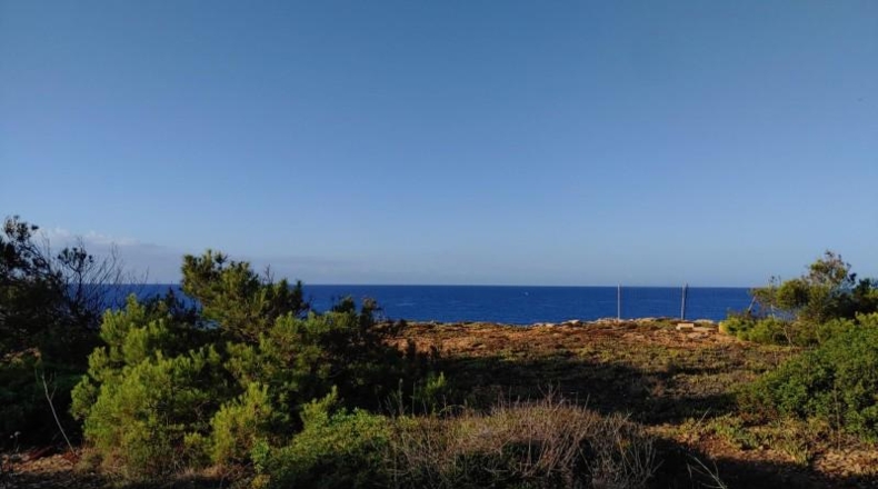 Balearic Islands - Lluchmayor - 1500m2