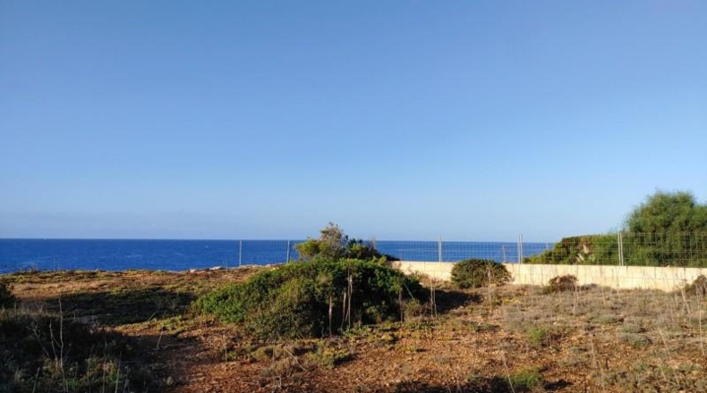 Balearic Islands - Lluchmayor - 1500m2