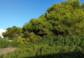 Parcela urbanizable en venta en la España, Llucmajor, ref: TR170493 foto