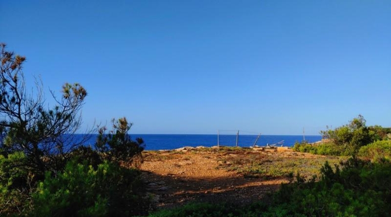 Balearic Islands - Lluchmayor - 1500m2