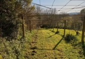 Xalet independent amb terreny en venda a la España, Chaves, ref.: TR220770 foto
