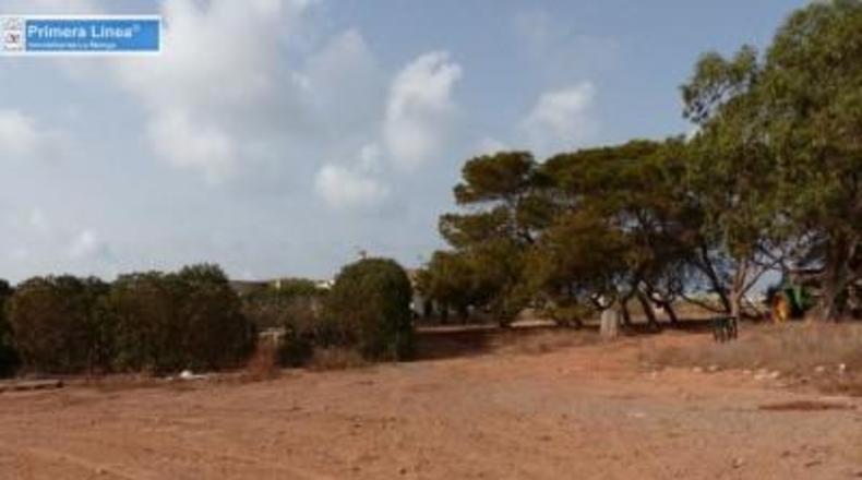 Murcia - Cartagena - 155069m2