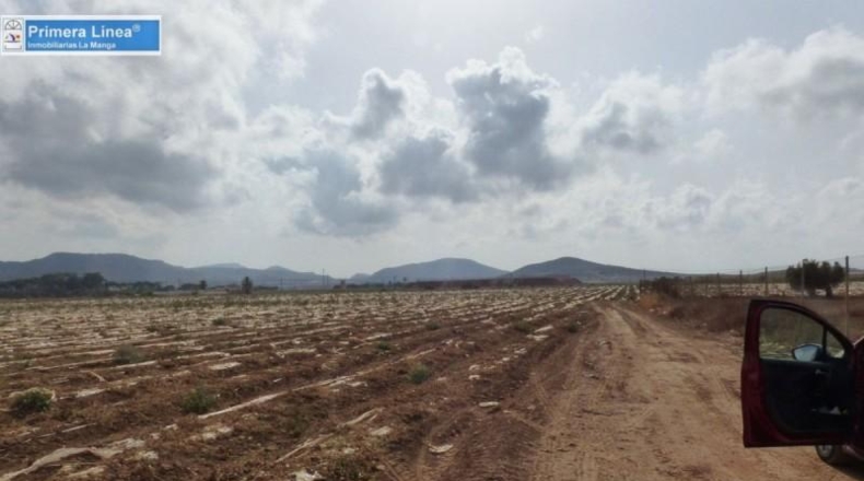 Murcia - Cartagena - 155069m2