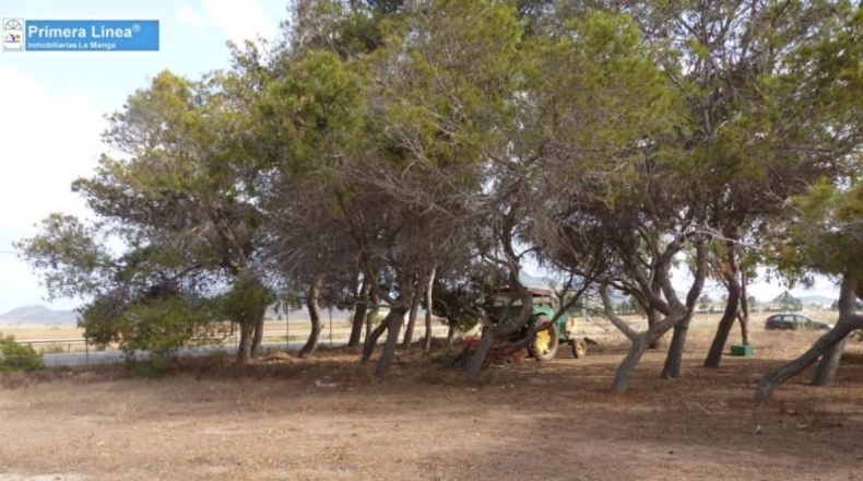 Murcia - Cartagena - 155069m2