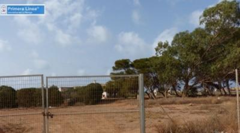 Murcia - Cartagena - 155069m2