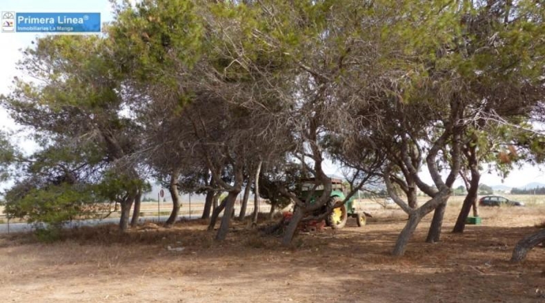 Murcia - Cartagena - 155069m2