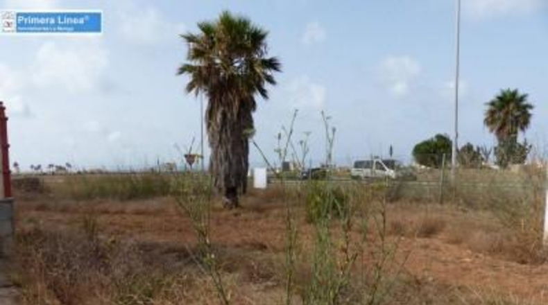 Murcia - Cartagena - 155069m2