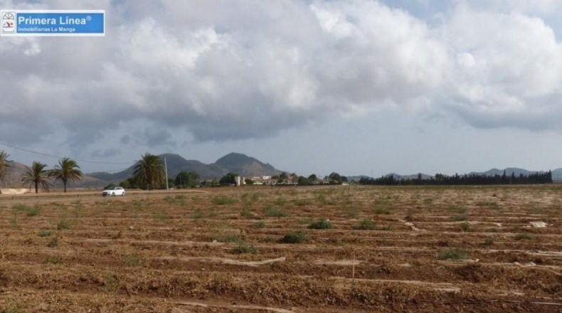 Murcia - Cartagena - 155069m2